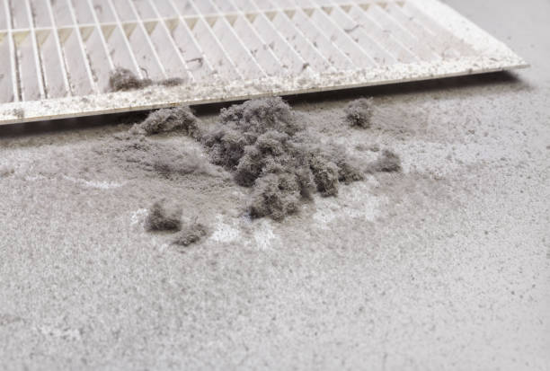 Best Local Air Duct Cleaning Services  in Vaughn, WA